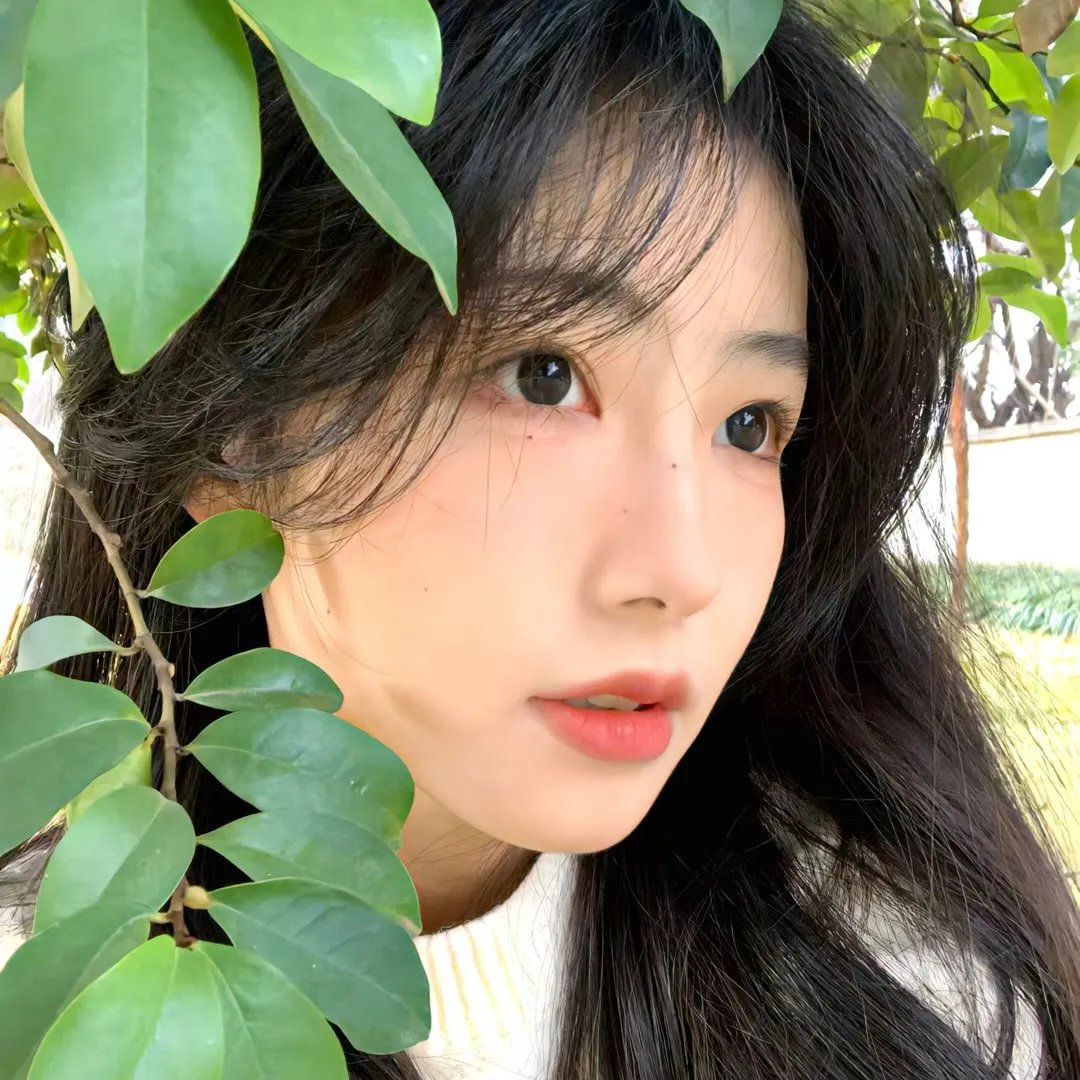 铁线蕨青
