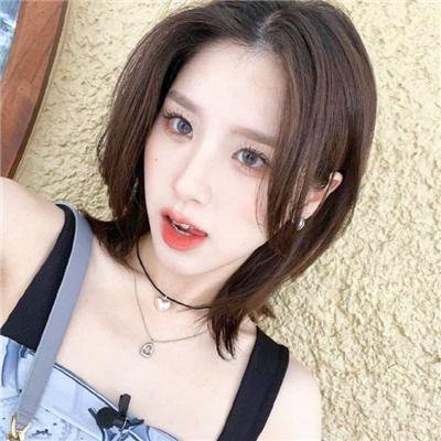 泰迪熊